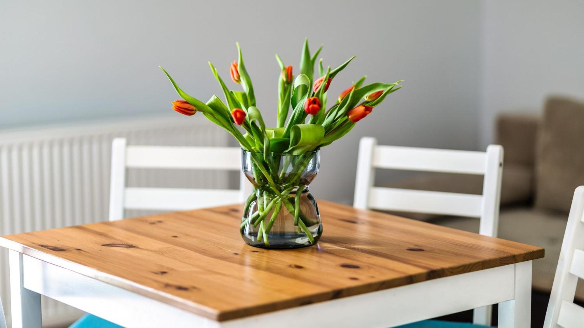 Morskie Apartamenty Przy Plazy Piamola Krynica Morska Zewnętrze zdjęcie